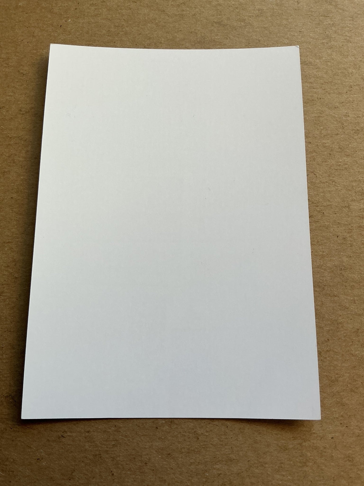 Yehvann Diouf, Senegal 🇸🇳 OGC Nice 2025/26 hand signed - Autographs-World